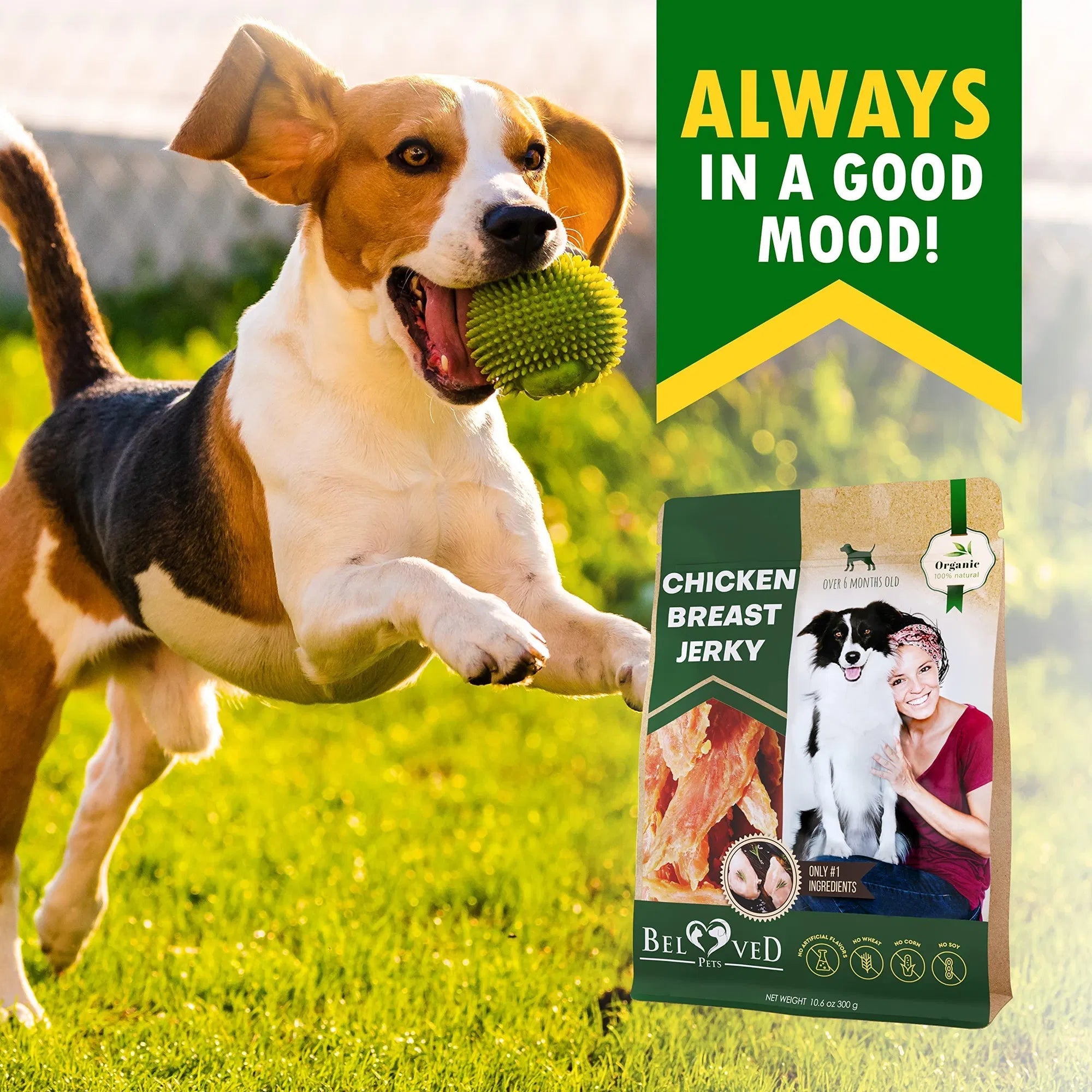 Friandises au Poulet pour Chien 100% Naturelles et Biologiques