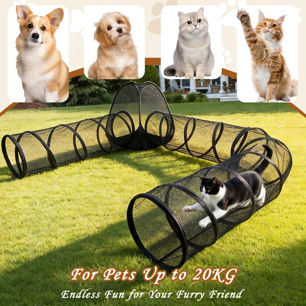 Enclos extérieur pour chats