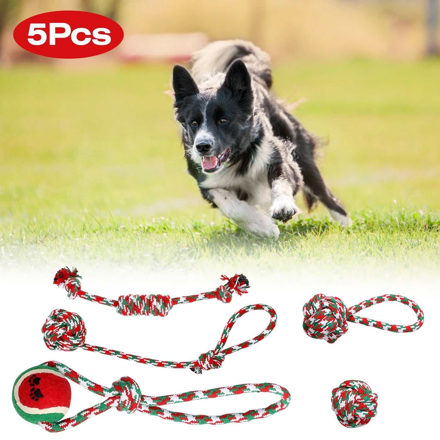 Ensemble de 5 jouets à mâcher en corde de Noël pour chiens