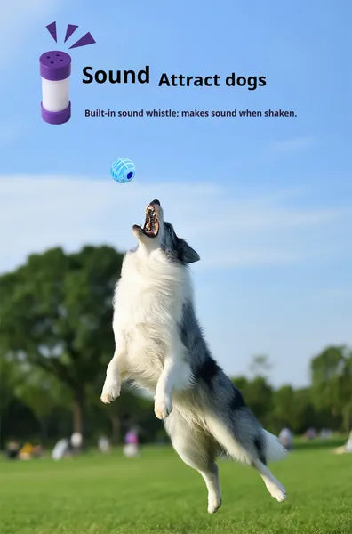 Balle sonore interactive pour animaux, la voix douce du chien et du chat