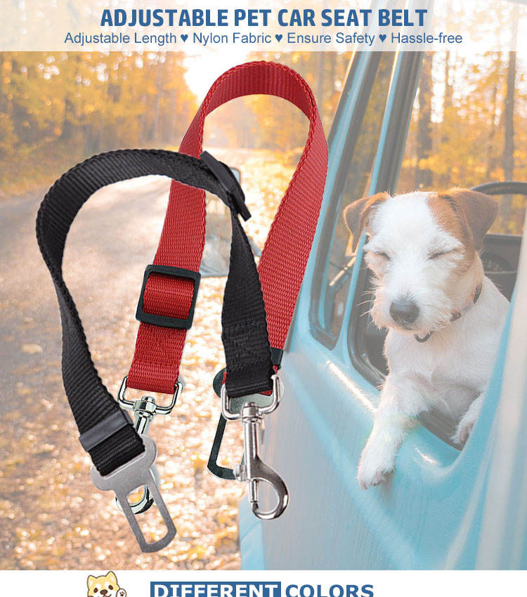 Laisse Véhicule Nylon Réglable pour Animaux Résistante