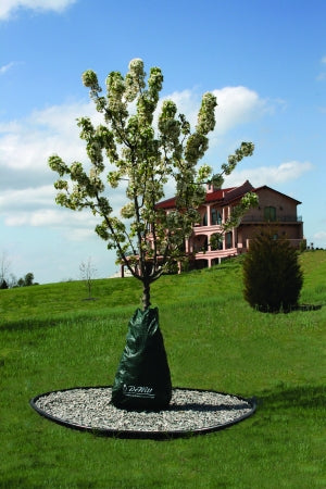 Sac d'Irrigation Goutte à Goutte pour Nouveaux Arbres 75 Litres Vert