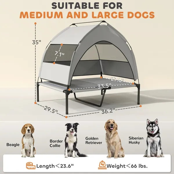 Lit surélevé pour chien : confort et protection au soleil