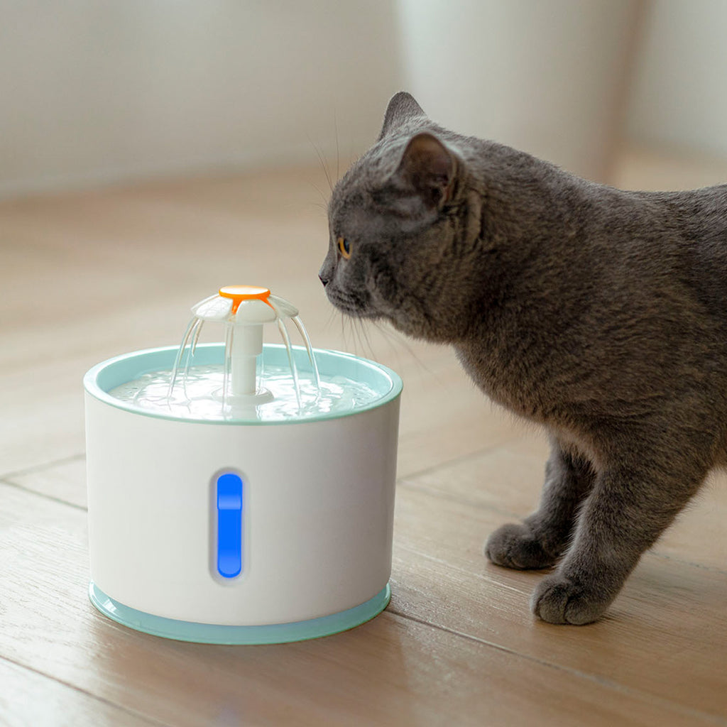 Fontaine à eau pour animaux avec réservoir remplaçable