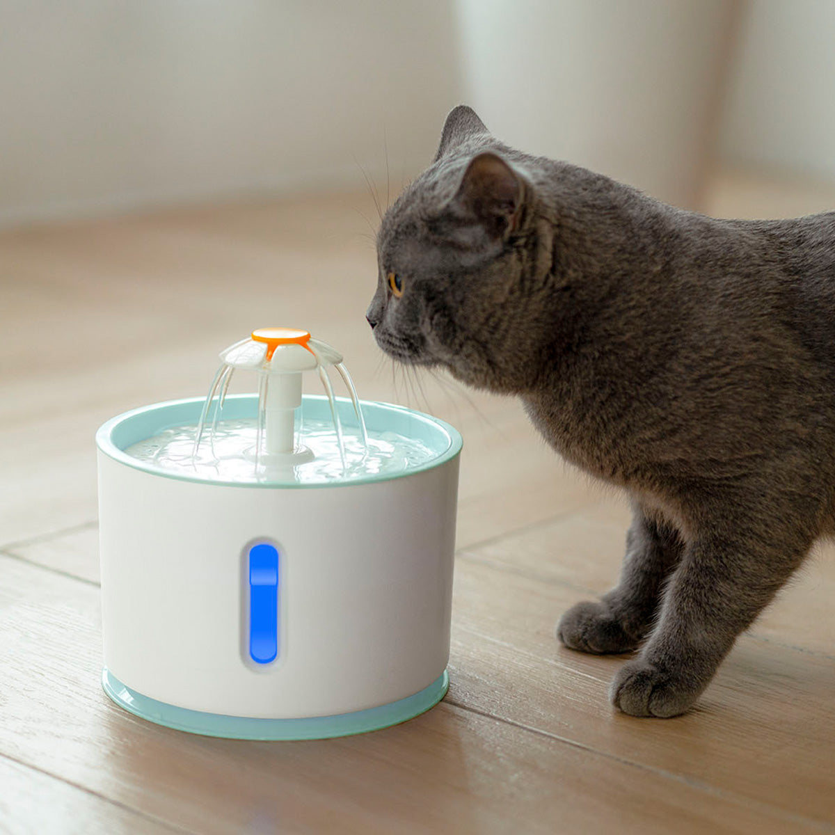 Fontaine à eau pour animaux avec réservoir remplaçable