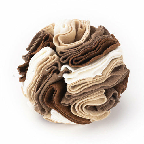 Tapis de Dressage pour Chien
