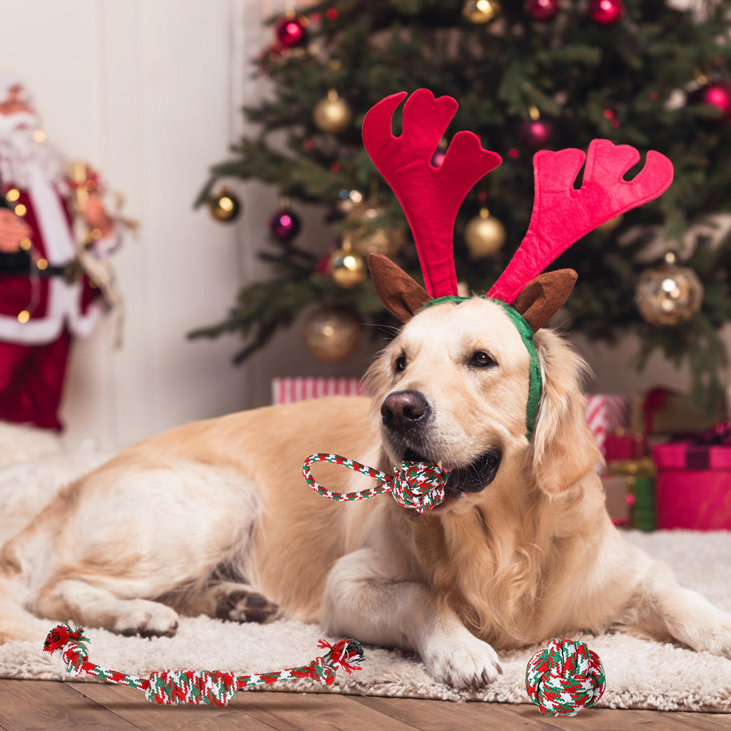 Ensemble de 5 jouets à mâcher en corde de Noël pour chiens