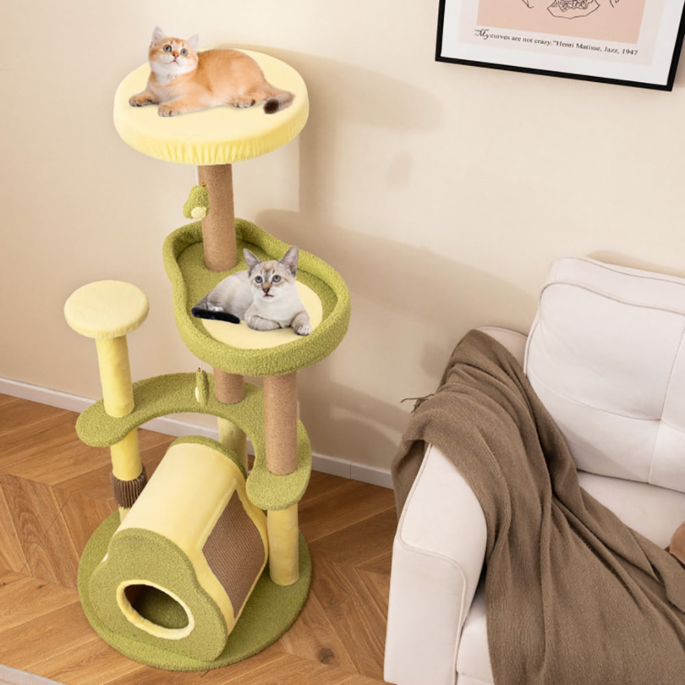 Arbre à chat avocat : espace de jeu et repos sécurisé