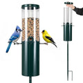 Mangeoire à Oiseaux sur Pied : Protection Anti-Écureuils