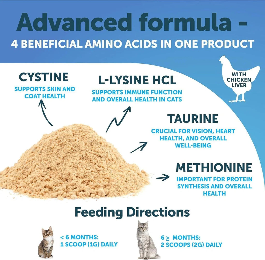 Ne pas vendre sur Amazon L-Lysine pour chats Poudre de supplément de lysine