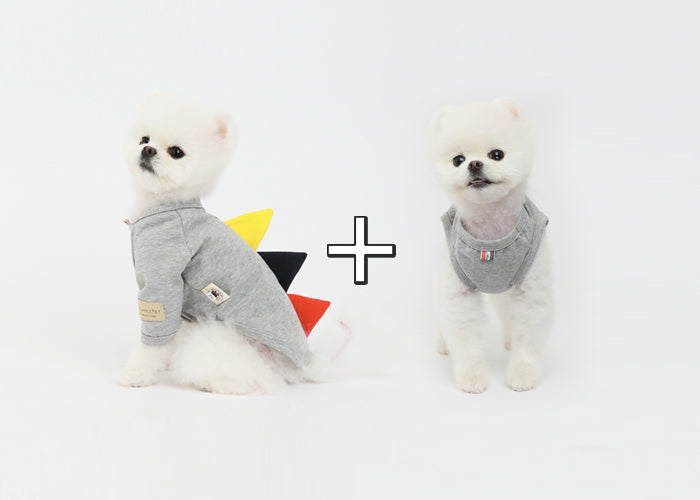 Costume pour animaux
