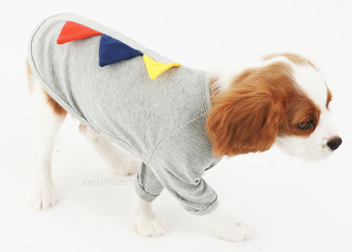 Costume pour animaux