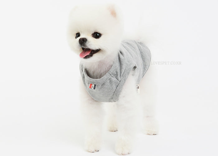 Costume pour animaux