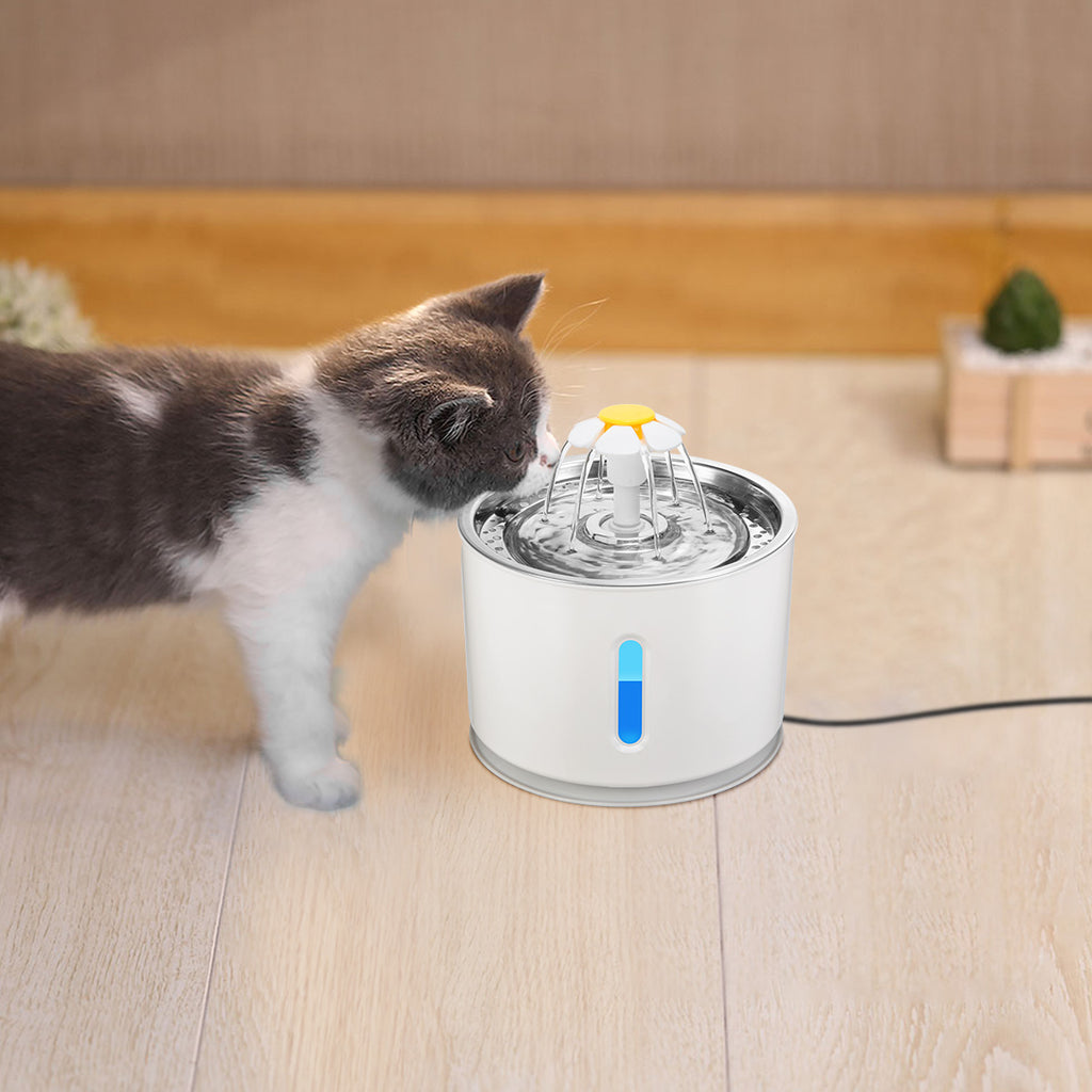 Fontaine à eau automatique pour chat