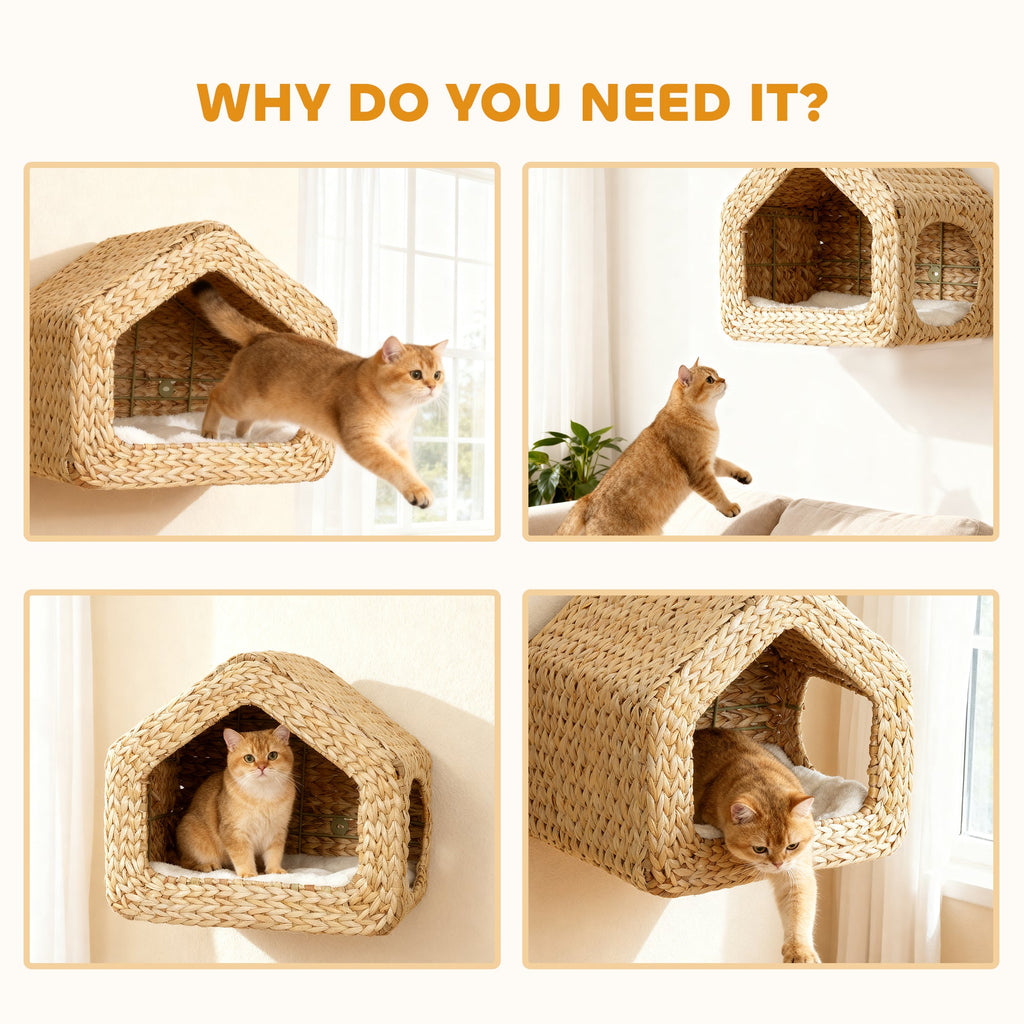 Maison murale pour chat : un refuge élégant et gain de place