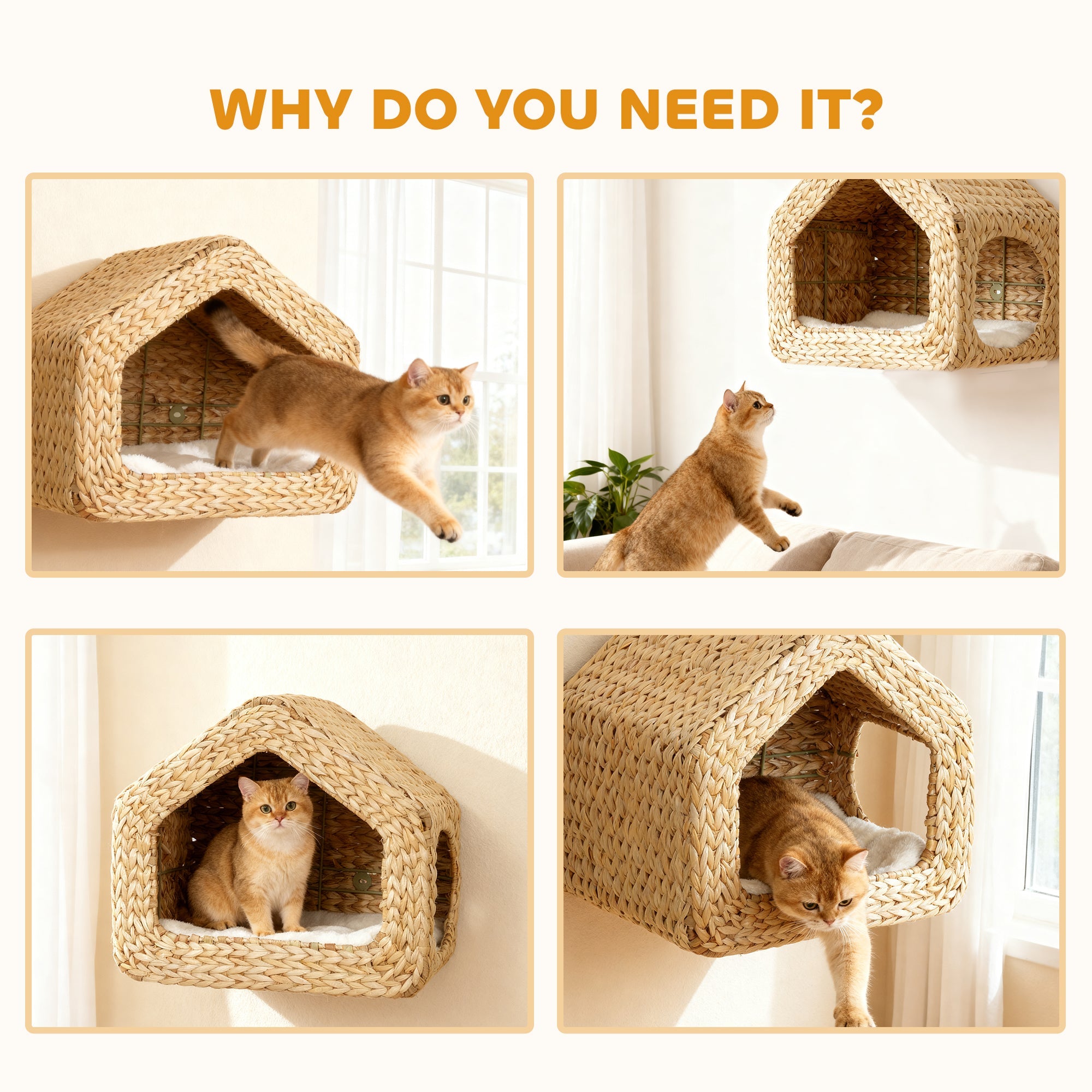 Maison murale pour chat : un refuge élégant et gain de place