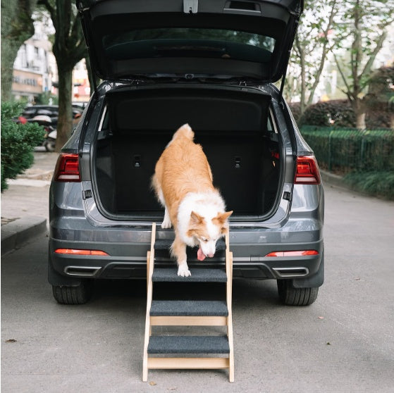 Escaliers pliables en bois : accès facile pour vos animaux