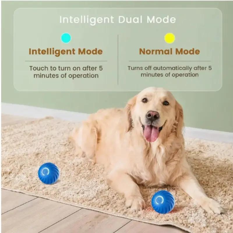 Balle rebondissante bleue et orange pour chats et animaux amusants
