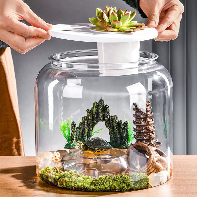 Réservoir à Poissons Écologique : Apportez Nature et Sérénité