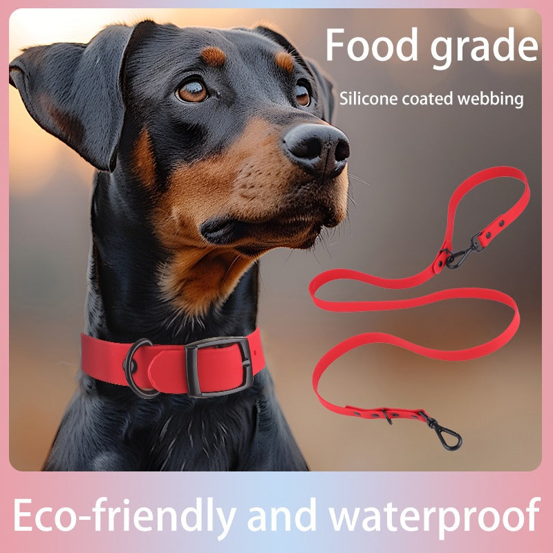 Collier et Laisse en Silicone pour Animaux