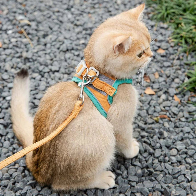 Harnais pour chat réglable avec laisse et gilet réfléchissant