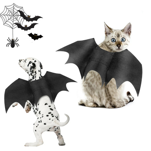 Costume de Chauve-Souris pour Chats et Chiens Halloween
