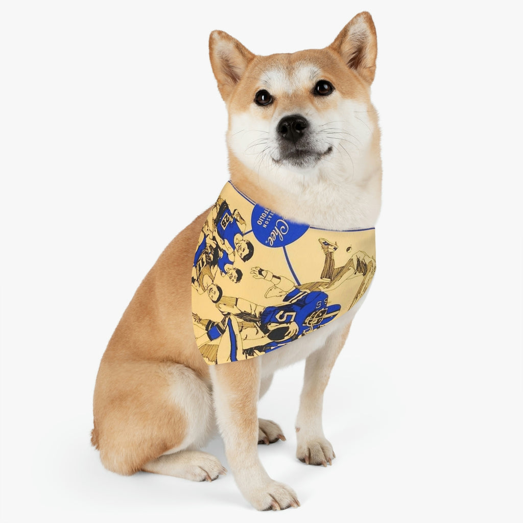Collier Bandana pour Animal