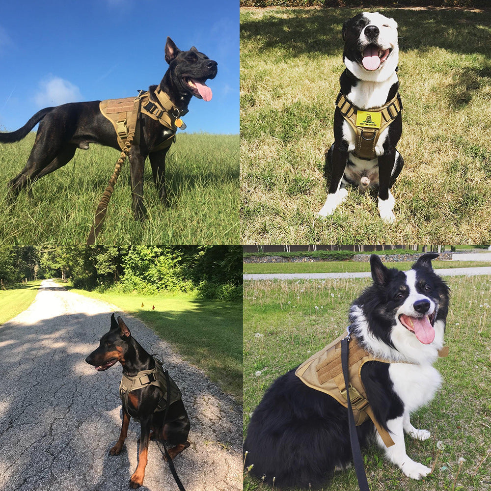 Harnais et Laisse Tactique pour Chien