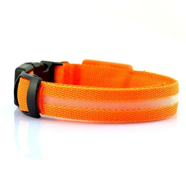 Collier pour chien à LED rechargeable par USB