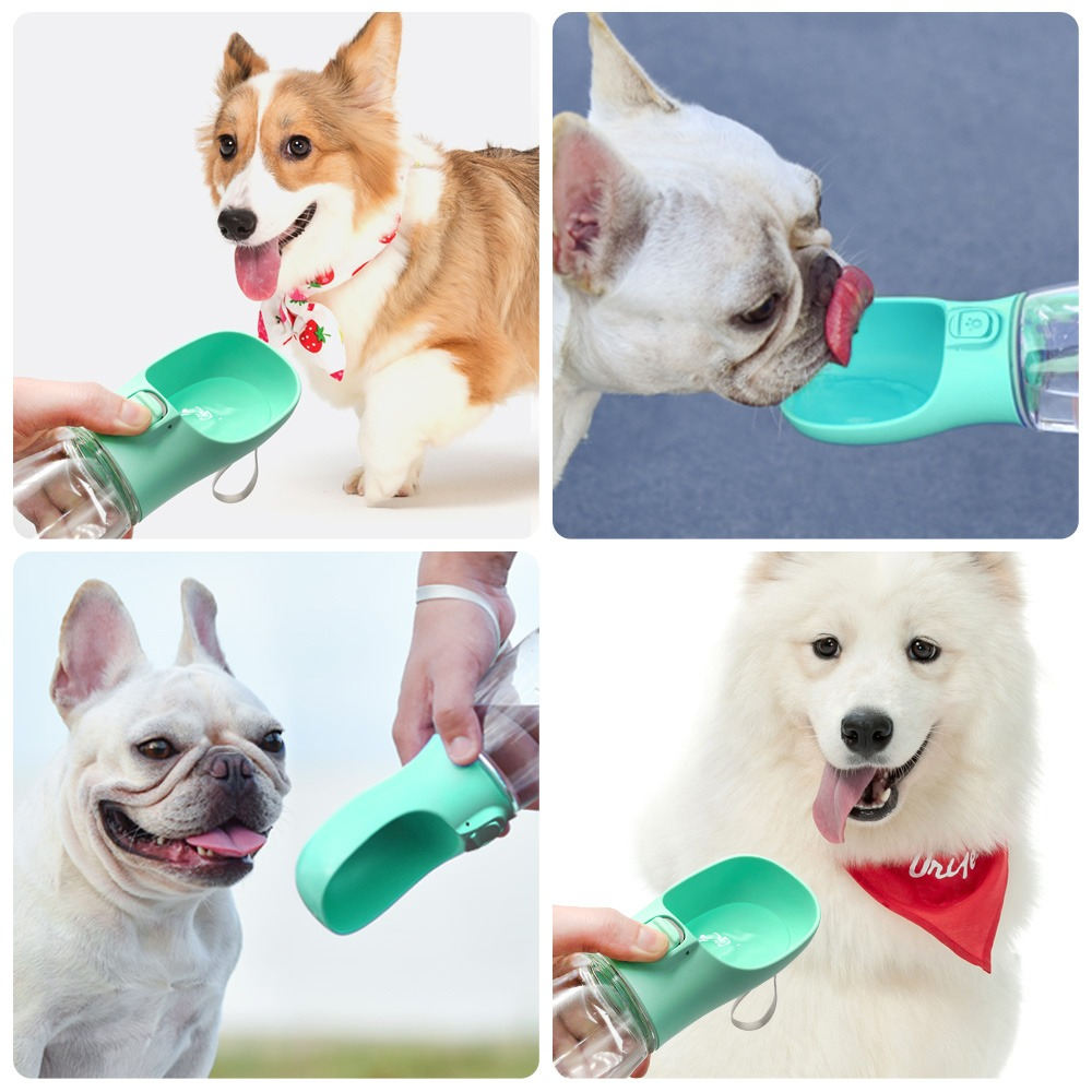 Distributeur d'eau et gamelles pour chiens et chats en extérieur