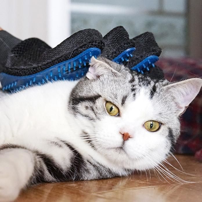 Gants de toilettage pour animaux
