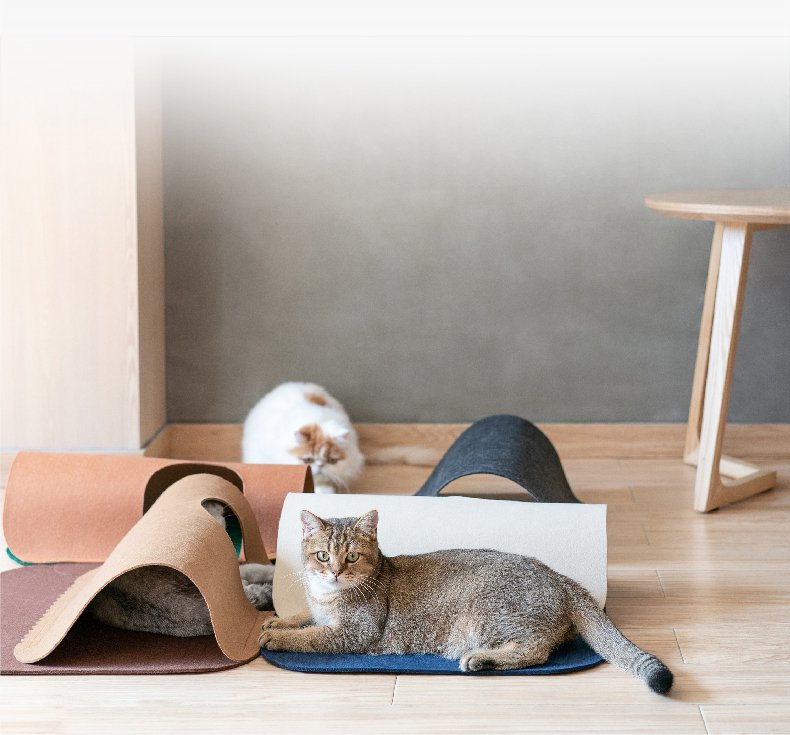 Tunnels de Jeu pour Chats