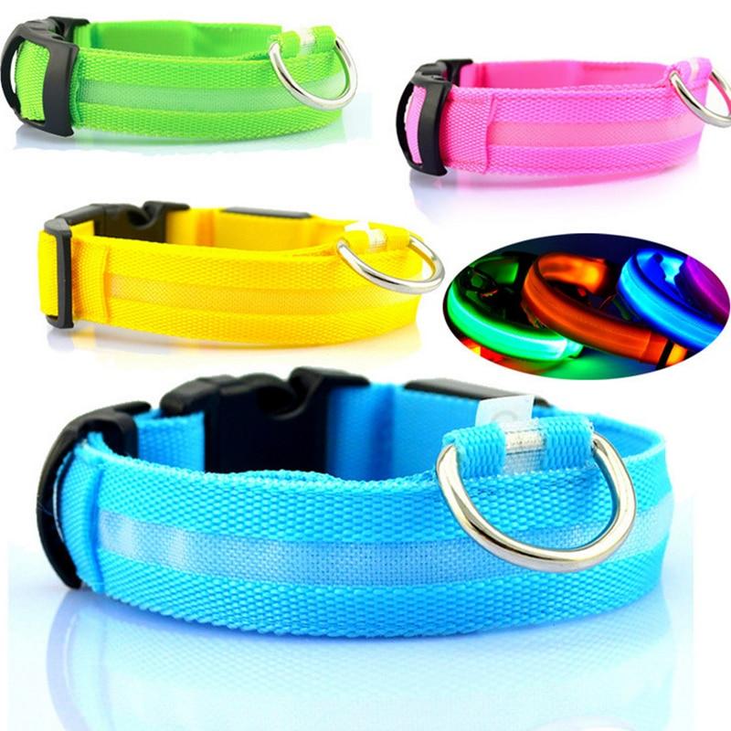Collier pour chien à LED rechargeable par USB