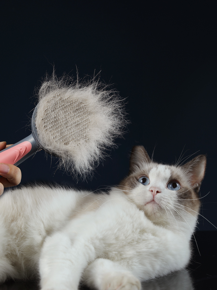 Peigne de toilettage pour chat et chien