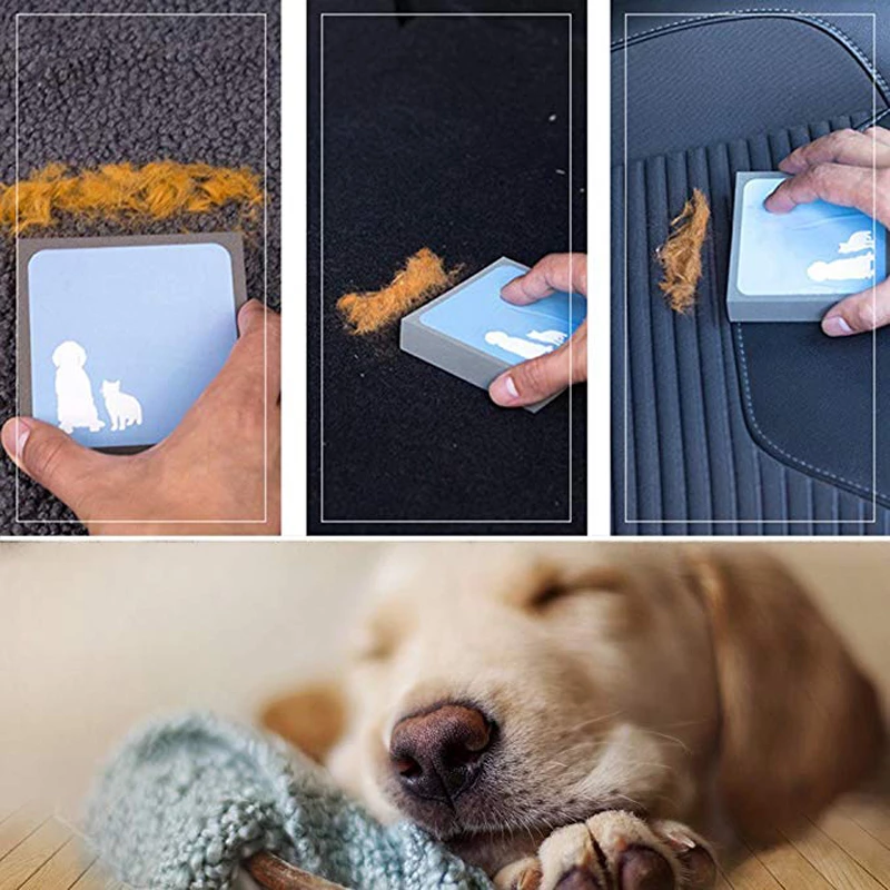 Éponge Brosse pour Élimination des Poils d'Animaux