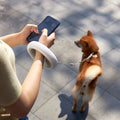 Laisse LED pour Chien - Sécurité et Style Nocturne