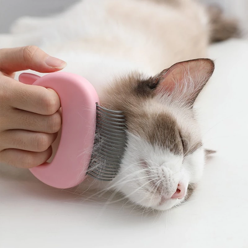 Brosse de Massage pour Animaux