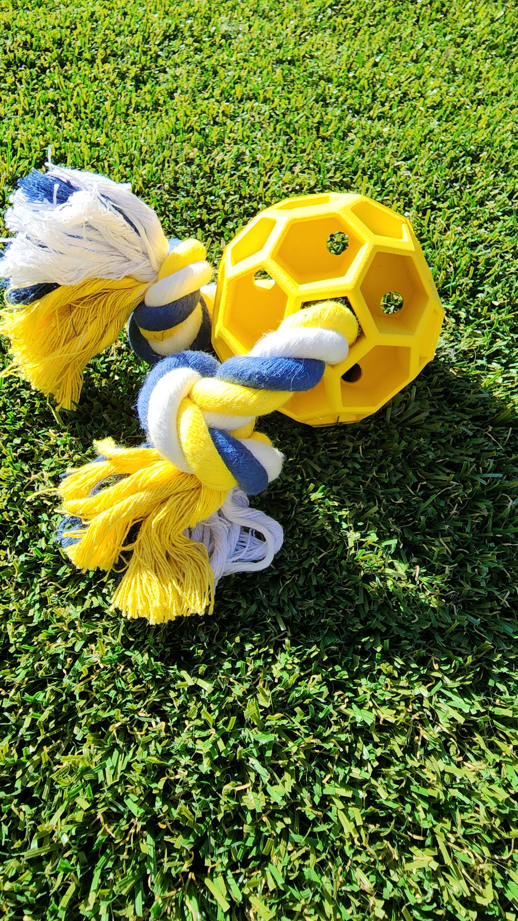 Balle de football en caoutchouc à mâcher avec corde de traction