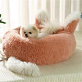 Lit en Peluche avec Oreilles et Queue pour Chats et Petits Chiens