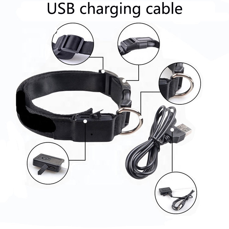 Collier pour chien à LED rechargeable par USB