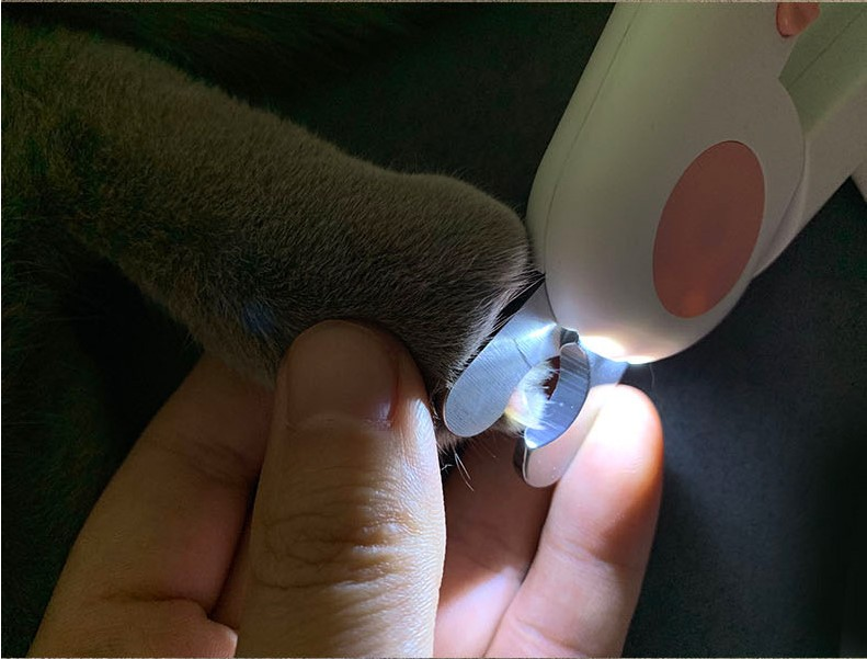 Ciseaux à ongles pour animaux avec LED, coupe-ongles pour chats