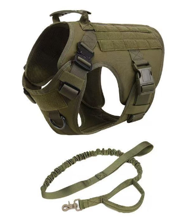 Harnais et Laisse Tactique pour Chien