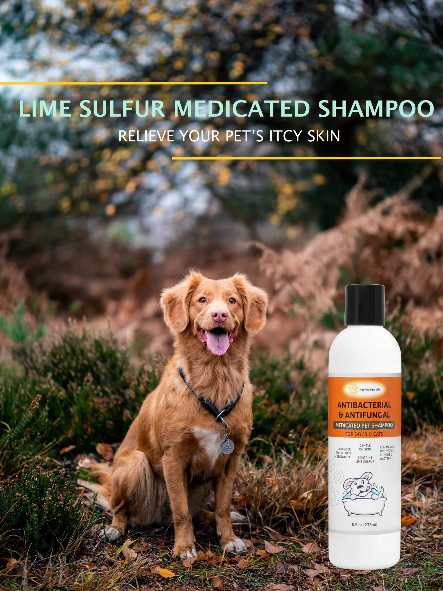 Shampooing au Soufre de Chaux pour Animaux - Soin Sécurisé