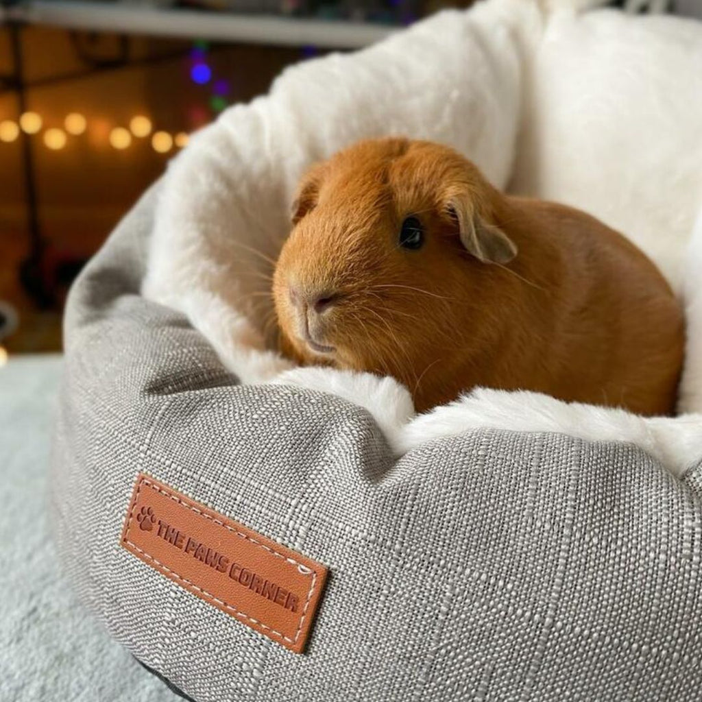 Sac de Couchage pour Petit Animal (Gris)