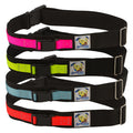 Ceinture de Laisse pour Promenade de Chien