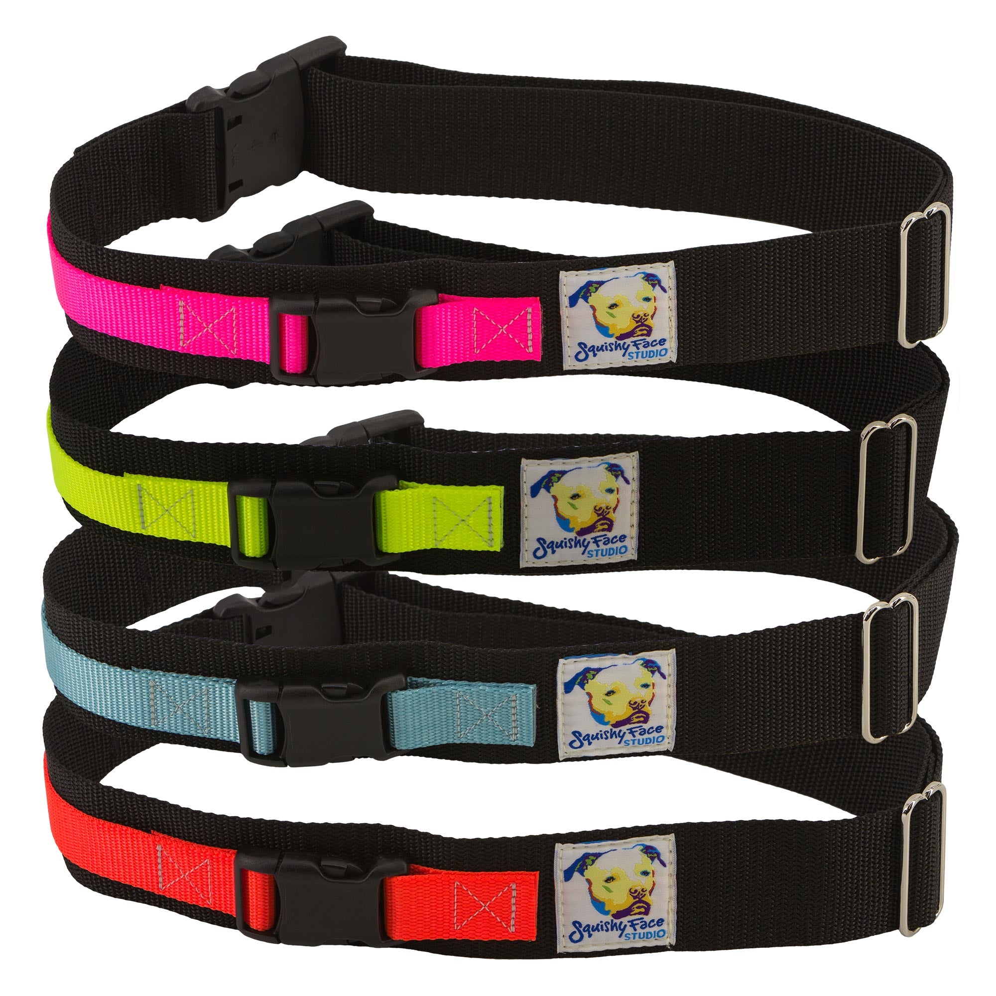 Ceinture de Laisse pour Promenade de Chien