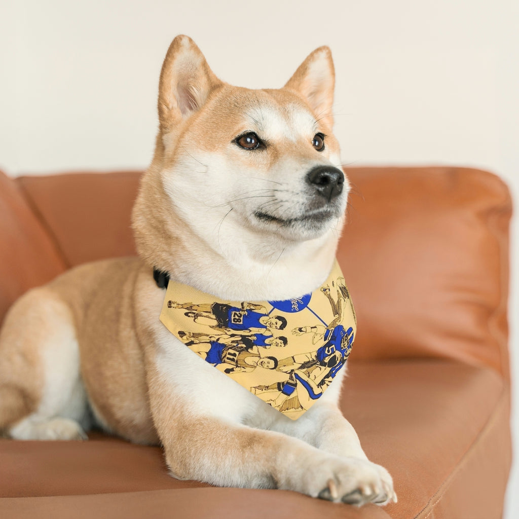 Collier Bandana pour Animal