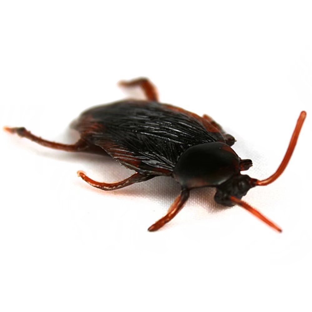 Artificial Cockroach Trick Jouet
