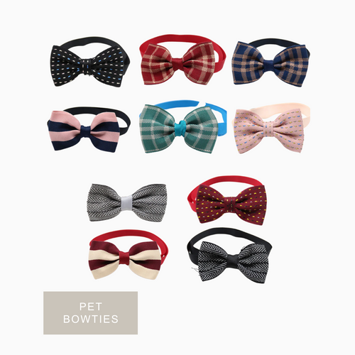 5/10 Nœuds Papillon Colorés pour Animaux