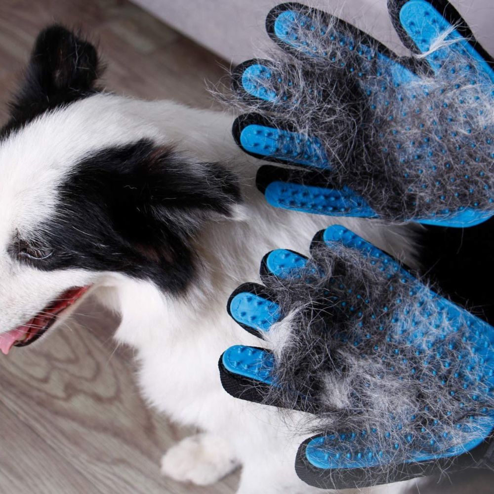 Gants de toilettage pour animaux